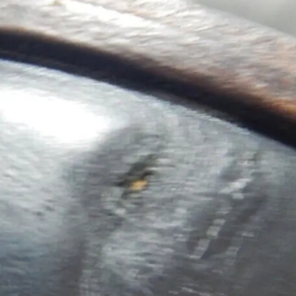 Frye Melissa Short Zip Ankle Boots - Picture 8 of 8